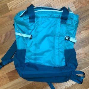 Patagonia LW Travel Tote Pack